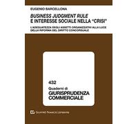 Business judgment rule e interesse sociale nella «crisi». L'adeguatezza degli assetti organizzativi alla luce della riforma del diritto concorsuale (Quaderni di giurisprudenza commerciale)