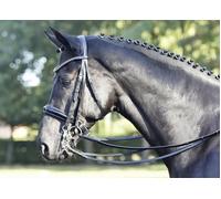 BUSSE Brida LUXURY Negra - COB BUSSE