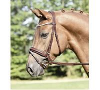 BUSSE Brida "MATERA" Avellana - FULL (standard) BUSSE