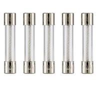 Bussmann MDL-2 cristal fusible 2 Amp 250 V tiempo de retardo (slo-blo) (5 unidades)