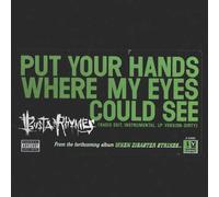 Busta Rhymes - Put Your Hands Where My Eyes Could See [Vinilo]