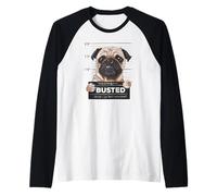 Busted Pug Mugshot Funny Dog Humor Camiseta Manga Raglan