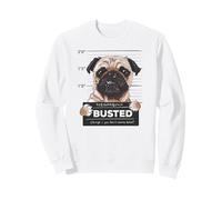 Busted Pug Mugshot Funny Dog Humor Sudadera