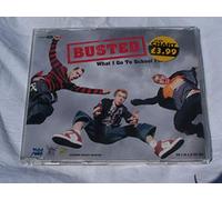 Busted - What I Go to School for [Import]