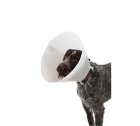 Buster 273320, Collar para Perros, Transparente, 10 cm