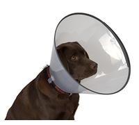 Buster 273906, Collar para Perros, Transparente, 35 cm