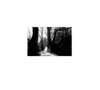 BUTCH LACY - SOLO BUT NOT ALONE