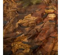 Buteo Photo Gear BPGCN1 Camouflagenet 1 Hoja de Color