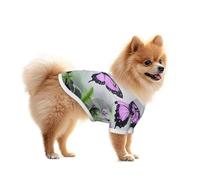 Butterflies in the Jungle - Camisa de malla para perro, ligera y transpirable, de secado rápido, elástica, para perros pequeños