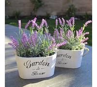 Butterfly Craze Plantas Artificiales de Lavanda en macetas de Madera - Arreglos Florales de Seda Falsos, Hermosos y realistas - en macetas Blanco Juego de 2 macetas de Madera