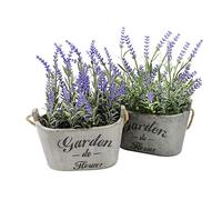 Butterfly Craze - Plantas artificiales de lavanda en macetas de madera rústica, realistas, impresionantes flores moradas de seda sintética, perfectas para elevar tu patio, decoración del hogar u