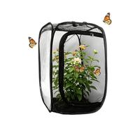 Butterfly Enclosure Serves As A Versatile Habitat For Breeding and Nurturin