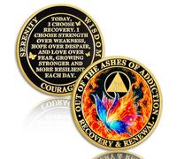Butterfly in The Fire - Moneda de sobriedad de 14 años, recuperación y renovación, moneda AA de catorce años, chips AA limpios y medallón, chip sobrio de recuperación con oración, regalos de sobriedad