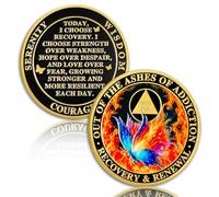 Butterfly in The Fire - Moneda de sobriedad de 20 años, recuperación y renovación, moneda AA de veinte años, chips AA limpios y medallón, chip sobrio de recuperación con oración, regalos de sobriedad