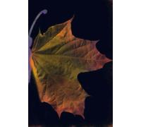 Butterfly Journal: Seasons of Change