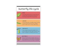 Butterfly Life Cycle Poster Metamorphosis Diagram for Preschool Kindergarten Elementary Science Classroom Decor Egg Caterpillar Chrysalis Butterfly Wall Art(Framed,12x18inch(30x45cm))
