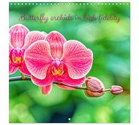 Butterfly orchids in high fidelity (Wall Calendar 2026 12" x 24" / 30 x 60 cm (open)) CALVENDO 12 Month Wall Calendar