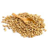 Buxtrade 5 kg Pistazien Saladas Con Cáscara Nueces y Semillas