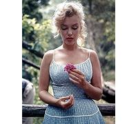 BUY ART FOR LESS Fotografía RARA de Marilyn Monroe con Flor de 12 x 16 Pulgadas, póster Impreso Fabricado en Estados Unidos