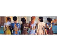 BUY ART FOR LESS Pink Floyd - Álbum de música con catálogo Trasero, 36 x 12 Pulgadas, impresión artística para decoración de Pared, Rock and Roll, 11.8 x 17.3 Pulgadas