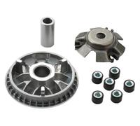 BUYTUS Kit variador de rodillos 14 g compatible con Agility125, Like125 Movie125 People125 Like200 125cc, reemplaza 22110-KUDU