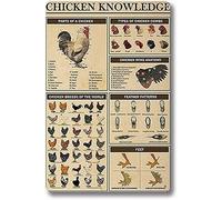 Buywell Cartel de metal con texto en inglés "Chicken Knowledge - Chicken Breeds of The World" (razas de pollo del mundo) con infografías vintage, letrero de metal para garaje, hogar, decoración de