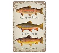 Buywell Divertido arco iris trucha arroyo trucha marrón trucha vintage decoración del hogar póster póster decoración arte de pared letrero de metal cartel 8 x 12 pulgadas