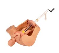 buyzg Modelo de producción Femenino, simulador de Parto para formación Avanzada en obstetricia, Modelos de enseñanza de Maternidad ginecológica a tamaño Real, maniquí uterino de bebé