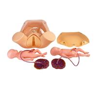 buyzg Simulador de Parto con Modo de Entrenamiento de Habilidades para Parto de Gemelos, simulador de Parto con 2 fetos, 2 Placentas y 2 Bolsas de Transporte para cordón Umbilical