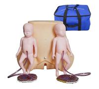 buyzg Simulador de Parto: Modo de Entrenamiento de Habilidades de Parto de Gemelos. Modelo de Entrenamiento con 2 Modelos fetales, 2 Cordones umbilicales y 2 Placentas