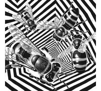 Buzz Patterns - Geometric Bee Dot Grid Journal: A Bold 8.5" x 8.5" Black & White Notebook for Sketching, Planning, and Inspiration