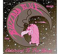 Buzzard Blue Band - Addicted to the Blues