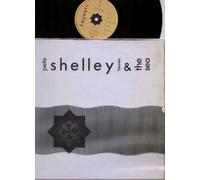 BUZZCOCKS - BUZZCOCKS - PETE SHELLEY / HEAVEN AND THE SEA - LP VINYL