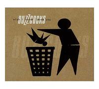 Buzzcocks, The - Wish I Never Loved You