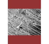 Buzzing Bees Overtake Me: A dive into mental health and Domestic violence