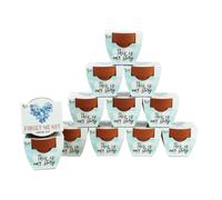 Buzzy Terracotta Mini Grow Pots para adultos y nios | Amo Forgir-yo-Noh Flower | Caso de 12 cargos | Los mejores regalos de jardinera o favores de