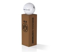 BVB Borussia Dortmund Columna decorativa LED Deco Jardín Iluminación Óxido Metal