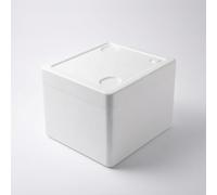 Bvdfgk Estuche Médico Isotérmico Caja Térmica Contenedor Refrigerado Maletín Aislado Material de Espuma Gruesa Mantiene Temperatura Controlada para, 210mm x 210mm x 150mm