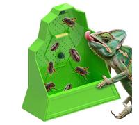Bvizyelck Alimentador para Camaleones - Plato De Alimentación para Reptiles,Accesorio para Terrario con Diseño Antifugas, para Dragón Barbudo, Tortugas, Serpientes y Arañas