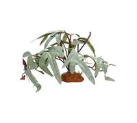 Bvizyelck Plantas para Terrario De Reptil - Decoración Acuática Realista,Hojas Artificiales para Acuario | para Agua Dulce Desierto Peces Tortuga Betta Gecko Leopardo Camaleón Rana Anfibio Ermitaño