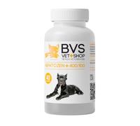 BVS Vet Shop | Hepatozen Plus 40 Comprimidos para Perros y Gatos | Promueve la Salud hepática y la regeneración del hígado de tu Mascota | 400/100 - Razas Grandes