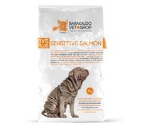 BVS Vet Shop | Sensitive Salmón para Perros | Sabroso alimento Completo elaborado con Salmón Fresco para Perros Adultos | 2 x 12 kg