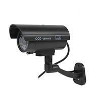 BW BW2600 - Cámara de videovigilancia simulada