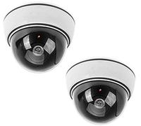 BW Cámara domo falsa