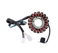 BWBVHRHZY Bobina de estator Compatible con Suzuki LTZ400 Quadsport Z 400 2003-2008 2004 2005 2006 2007 32101-07G00 LTZ 400