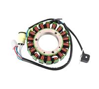 BWBVHRHZY Bobina de estator Compatible con Yamaha ATV Warrior 350 YFM350X Raptor 350 YFM350R 5NF-81410-00 YFM350 RX