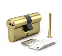 Bwintech 1 Pcs 40/60mm Euro Cilindro de Latón, 100mm Cerradura de Llave/Cilindro de Llave con 5 Llaves Horizontales de Latón,Anti Picking,Anti Drilling,Anti Snap,Anti Bumping, Acabado Latón Pulido.