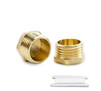 Bwintech 2 piezas de rosca macho BSP de latón macho de 1/4 pulgadas con tapa hexagonal para conversión de conexión de tuberías