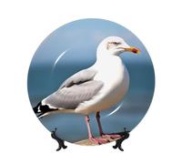 BWLHJKE Bonito plato decorativo de porcelana de hueso de gaviota con imagen, platos de cena de porcelana personalizados con soporte de exhibición, placa decorativa de cerámica para colgar en la pared