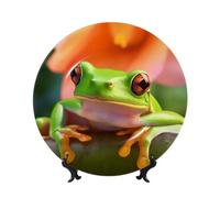 BWLHJKE Plato decorativo de porcelana con imagen de rana de árbol, platos de porcelana personalizados con soporte de exhibición, placa decorativa de cerámica para colgar en la pared, adorno de 8